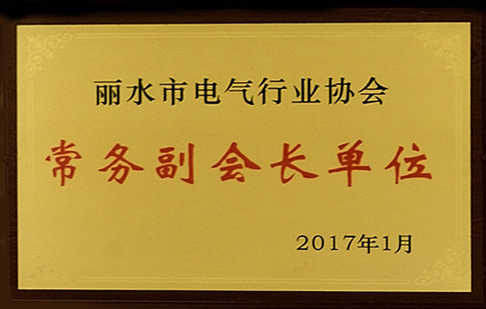 2017年丽水市电气行业常务副会长单位